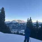 Aaron Schuster - @aaronschuster51 - Instagram