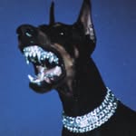 Aaron schwab - @schwabaaron4 - Instagram