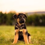 Aaron Scurlock - @scurlockaaron0 - Instagram