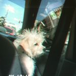 aaron sean - @aaronseannn - Instagram