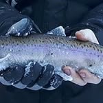 Aaron Searle - @searle.aaron - Instagram