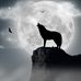 Aaron Seiler - Facebook