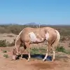 Aaron Secrist - @aaron.secrist - TikTok
