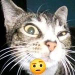 Aaron - @aaronssecundacc - Instagram