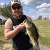 Aaron Seddon - @aaronseddon6 - TikTok