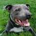 Aaron Sedley - Facebook