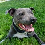Aaron Sedley - @pasta_mountain - Instagram