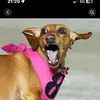 Aaron Selway - @aaron_selway - TikTok