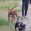 Aaron Seeley - @aaron.seeley8 - TikTok