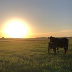 Aaron Seger - @aseger5444 - Instagram