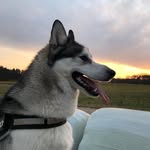 Aaron Seibt - @seibtaaron - Instagram
