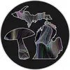 aaronseitsinger75 - @aaronseitsinger75 - TikTok