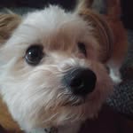 Aaron Selman - @selmanaaron - Instagram