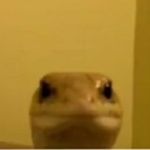 Aaron - @aaron_semmons43 - Instagram