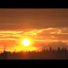 Aaron Semmens - @aaronsemmens - TikTok