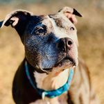 Jc Aaron Semper - @bigmush2022_ - Instagram
