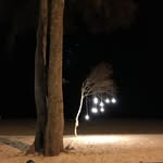 Aaron Seo - @mangodaddy11 - Instagram