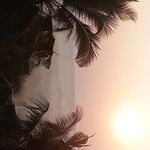 aaron sequeira - @playzlayz - Instagram