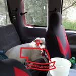 Aaron Serl - @serlaaron - Instagram