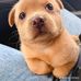 Aaron Serna - Facebook