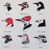 Aaron Sessions980 - @asess99 - TikTok