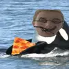 aaronseverin - @aaronseverin - TikTok
