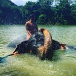Aaron Shade - @aj_shade - Instagram
