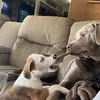 Aaron Shallenberger - @aaron.shallenberg - TikTok
