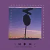 Aaron shaffer - @aaron_wolf4510 - TikTok