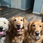Aaron Shaffer - @ashaffer78 - Instagram