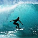 Aaron.F.Shank - @aaron.f.shank - Instagram