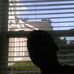 Aaron Shankle - Facebook
