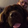 Shawn Aaron Ginn - @aaronshawn77 - TikTok