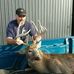 Aaron Shawver - Facebook