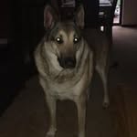 Aaron Shead - @sheadaaron - Instagram