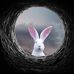 Aaron Shears - Facebook