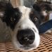 Aaron Sheehy - Facebook