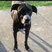 Aaron Sheffield - Facebook