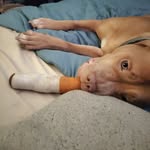 Aaron Shepard - @shepnxw - Instagram