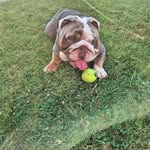 Aaron Sheppard - @aaron_shep_28 - Instagram