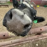 Aaron Sheppard - @aaronsheppard27 - Instagram