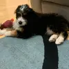 Aaronshcherbakov - @aaronshcerbakov - TikTok