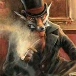 Aaron Sherer - @aaronsherer - Instagram