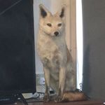 Aaron sherer - @sherer.aaron - Instagram