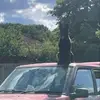 Aaron Sherer - @aaron.sherer0 - TikTok
