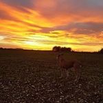 Aaron Sherer - @aaronleesherer - Instagram