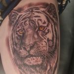Aaron Sherwin - @aaron_sherwin8 - Instagram