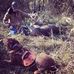 Aaron Schaedler - Facebook