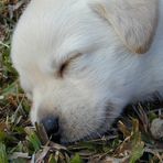 Aaron Shih - Facebook