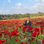 Aaron Shih - @aaron_shih - Instagram